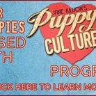 Puppy Culture